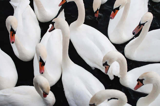 ����� ��������