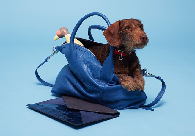 � ���������� ������