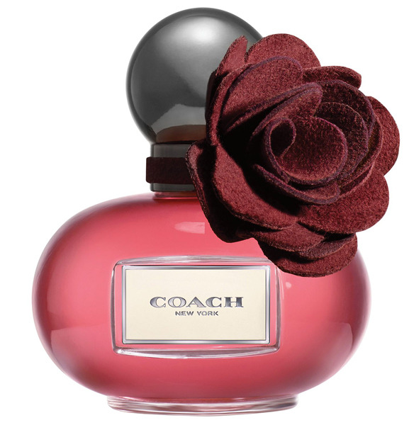 ������� ����