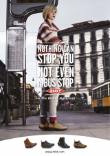 ��������� ����� MBT �����-���� 2014