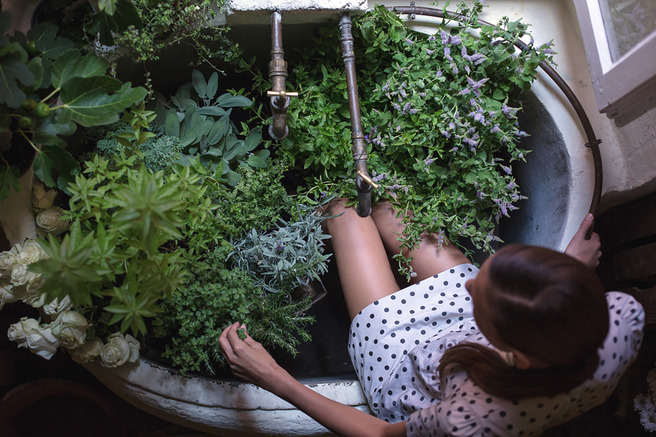 ����������� �������