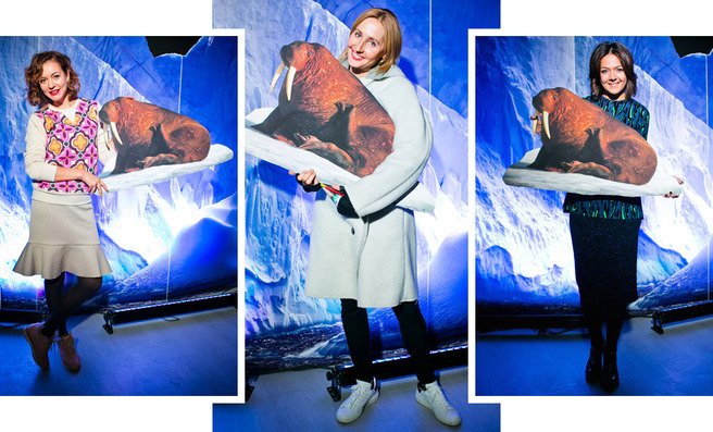 �� �������� ������