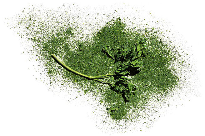 ������ � �����