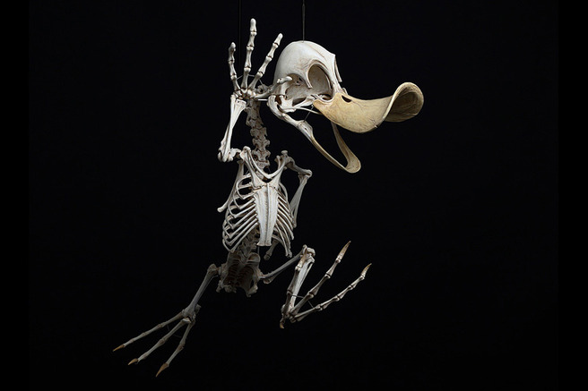 � ��� �� �������?