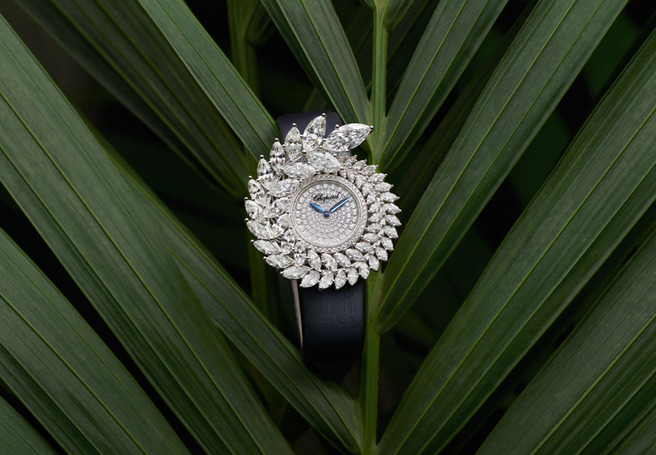 �������, ���������