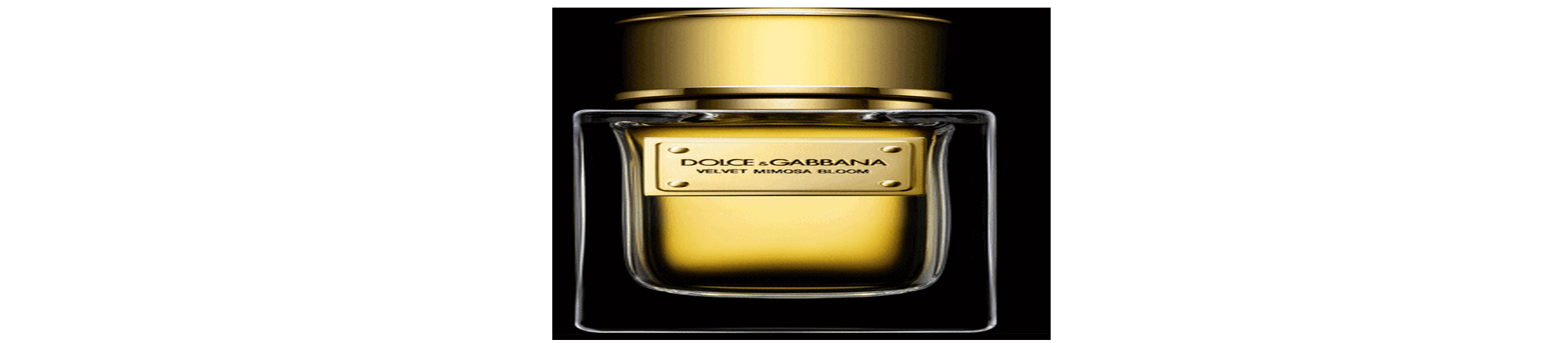 ��������� � ������� ������� Dolce & Gabbana