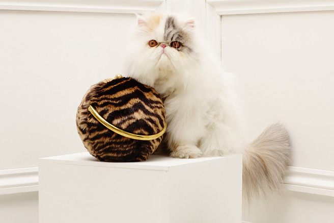 �������� ����� � ������� ���������� Stella McCartney