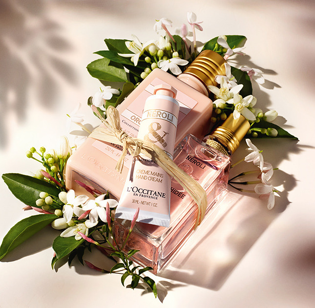 �������� ������ � ����� ����� ������� � ����������� ��������� L'Occitane