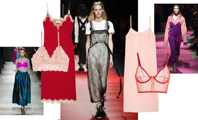 ���������: �������� �����