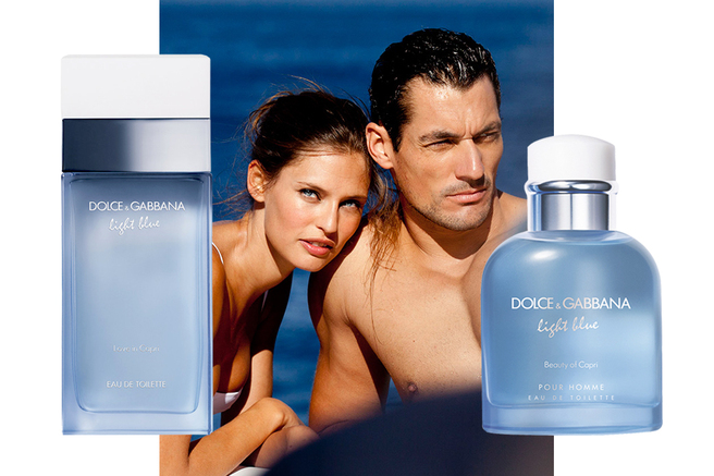 ������ �� �����: ����� ������ ������� Dolce & Gabbana Light Blue