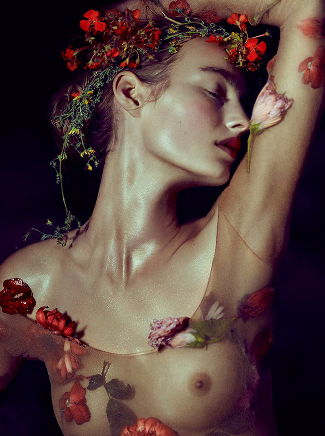 ����� ����������� ���������, ������ ������� ���� �� ���� ���������� �����