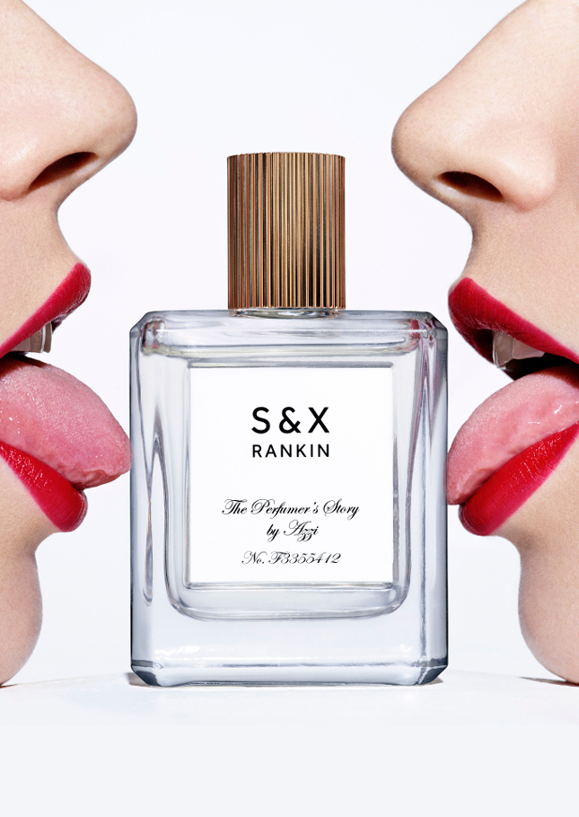 ������ ������ ���� ������ ������ S&X