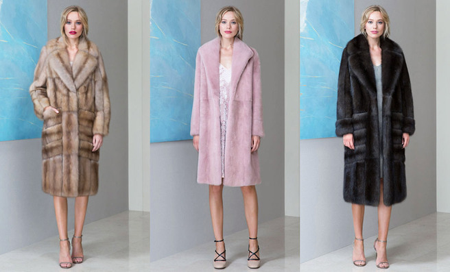 Emil Shabaev �����-���� 2016