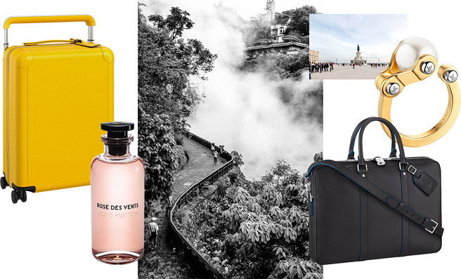 ��� ����������� ��������� Louis Vuitton