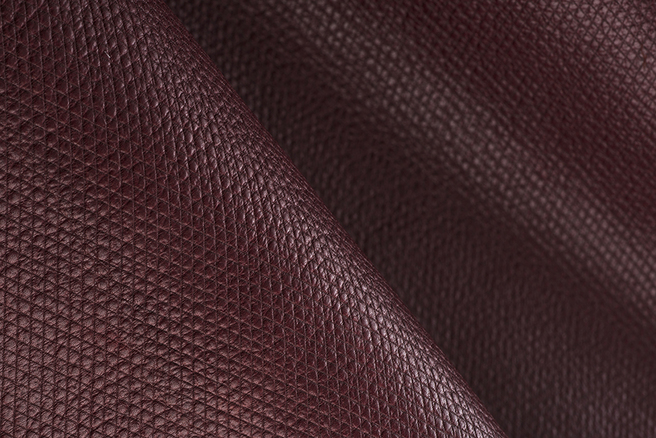 ����� �������� ����