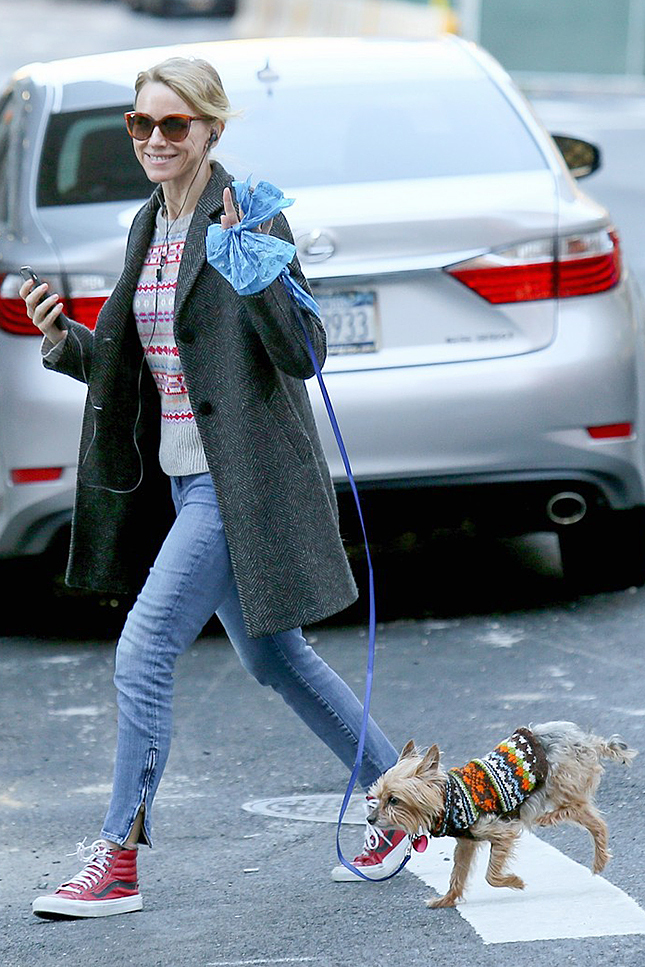 ����� ����� � ����� Vans �� �������� c ���� ����� � ���-�����