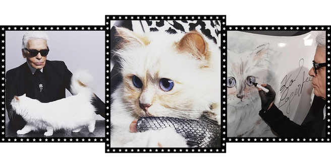 ������� ������� ������ ����������