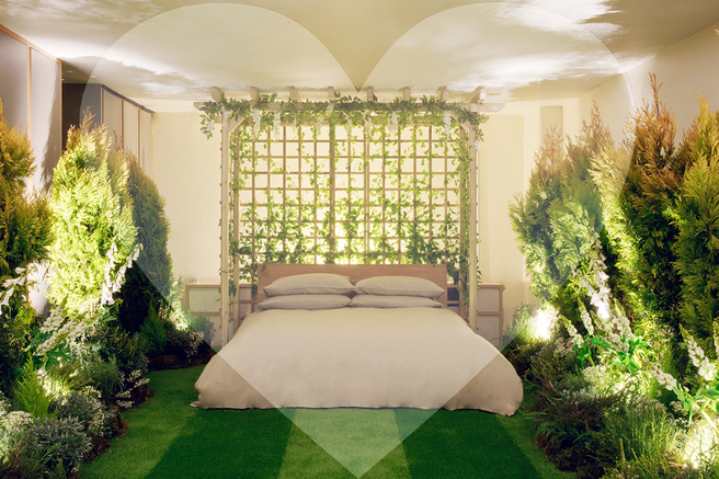 ��� ������ � ���� ���� ����������