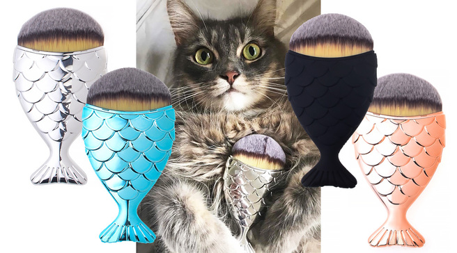 ��������� ����� ��� �������