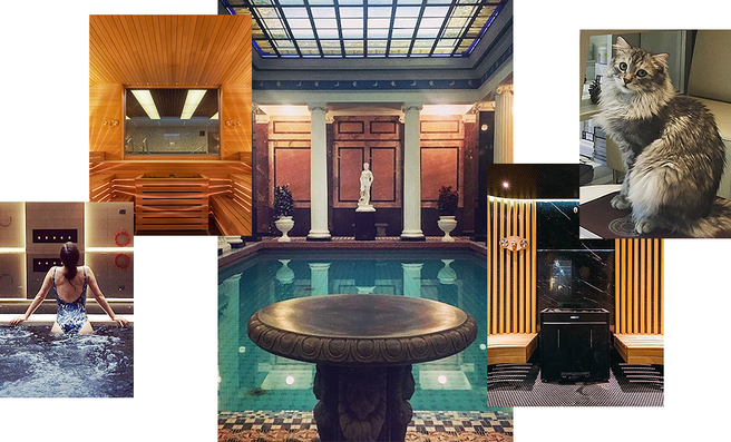 ��� ��������� �� ������ � ������: ����, ����� � �������