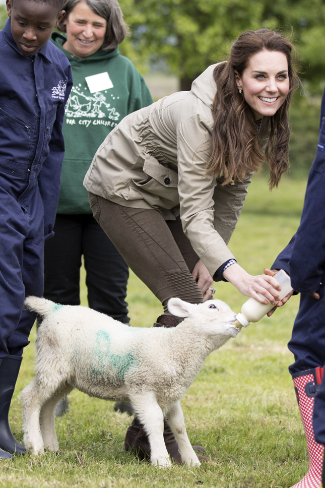 ���� �������� �� ����� � ����������