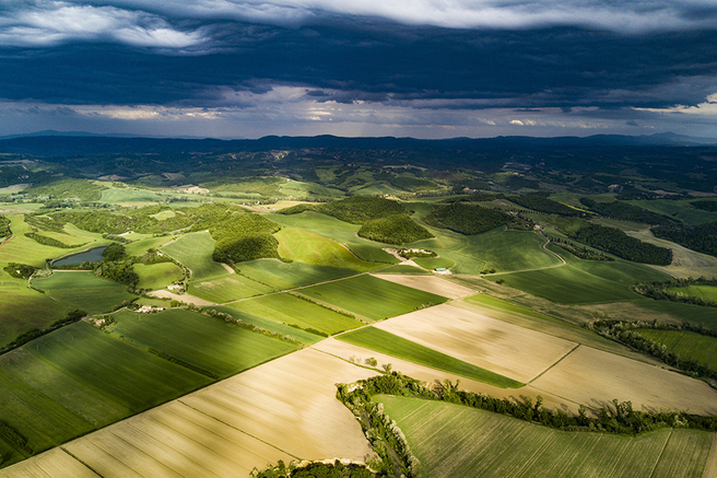 20 �������������, ������� ������� �� ��������