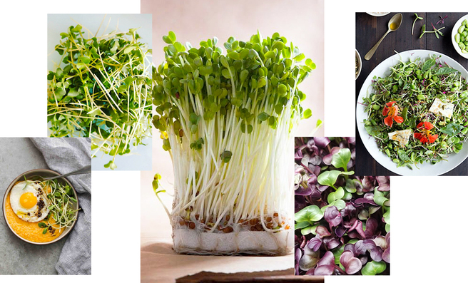 ���-������: � ��� ������ �����������?