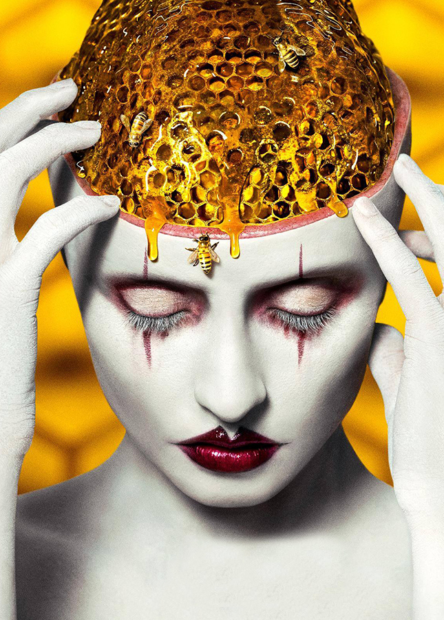 ������ �� ���� ������� ����� ������������� ������� ������