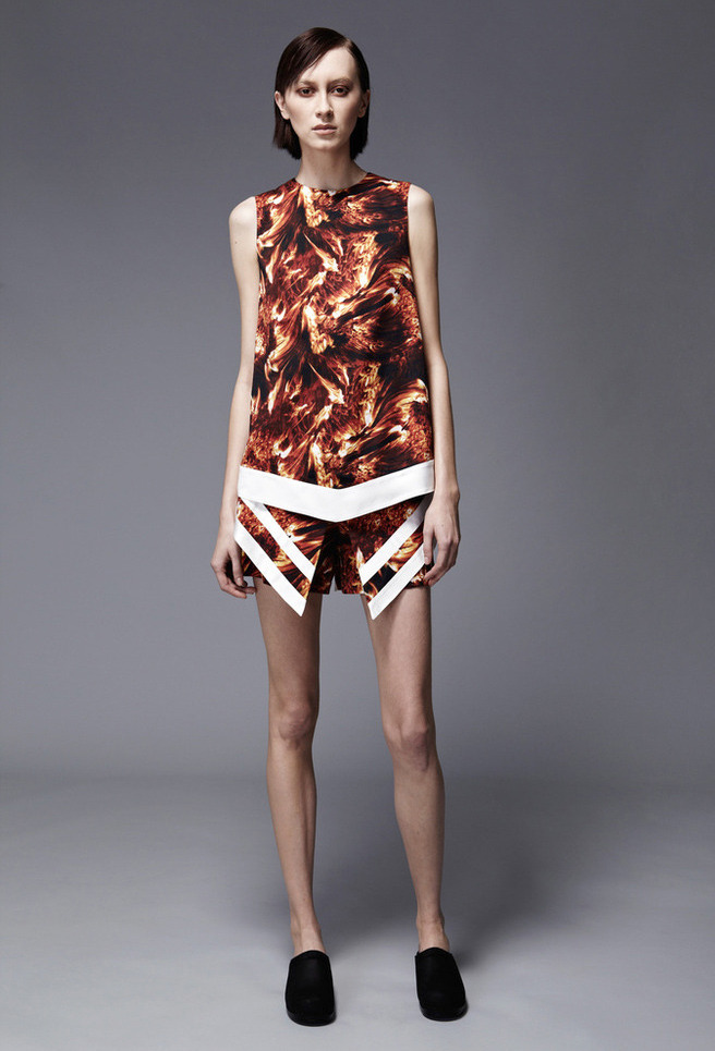 Wayne pre-fall 2013
