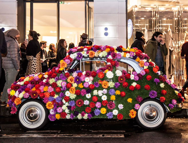 ��������� ���� �� ����������� ������ Seafarer � ��������� Colette