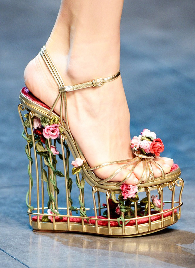 Dolce & Gabbana �����/���� 2013-14