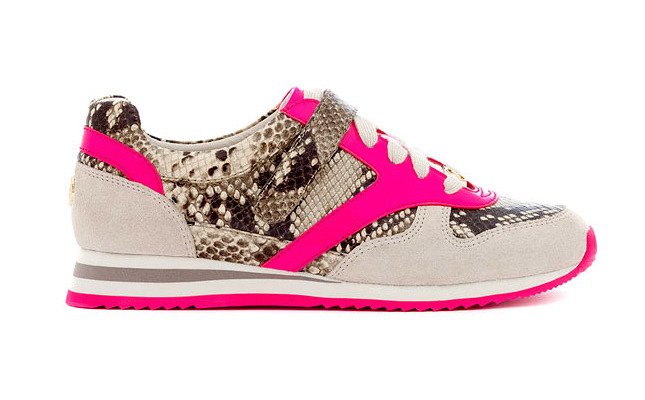 ����� ���� �������� ����� ���������� �����