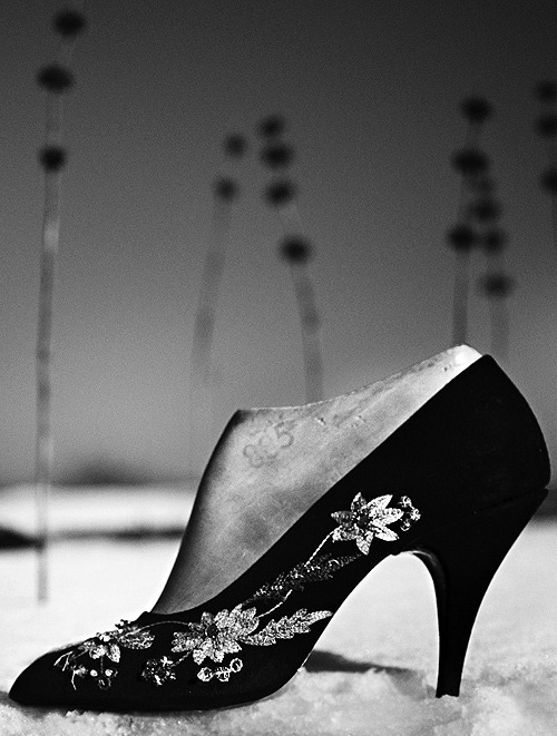 Salvatore Ferragamo ������������ ������ �� �����