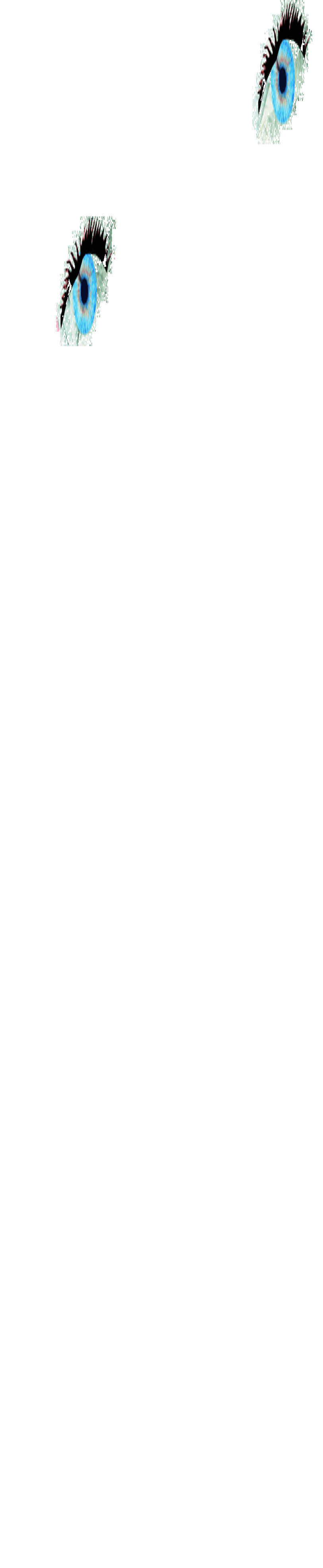 ����������������� ��������