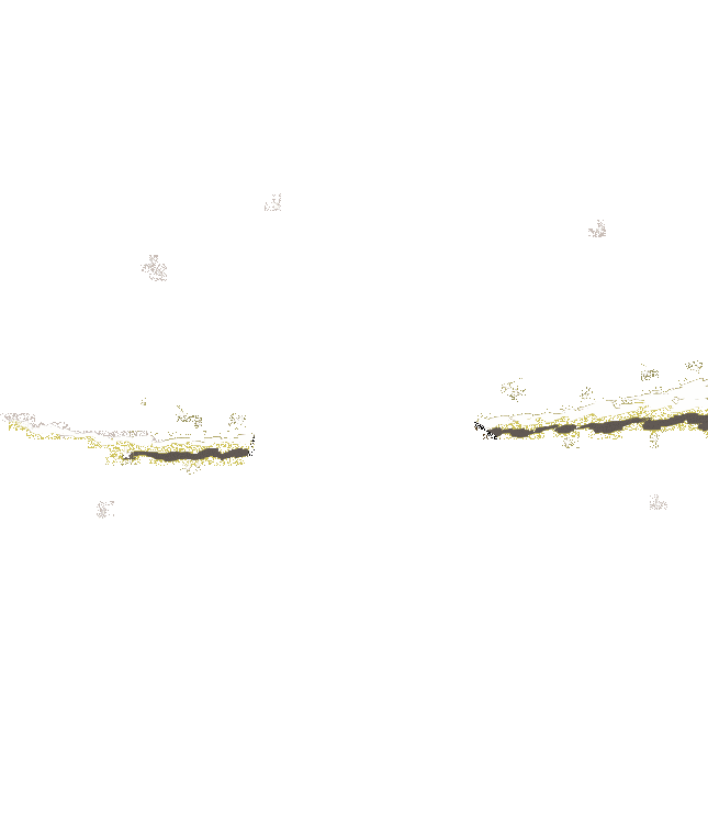 ������-����