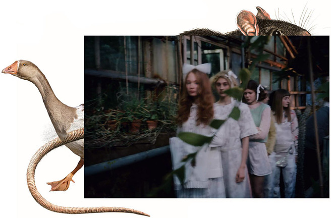 ��������� ����� � ����� ��������� Les'