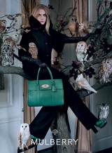 ���� �������� - ����� ���� Mulberry