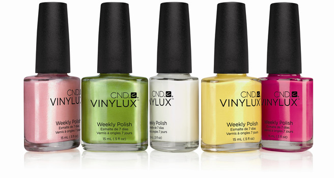 ������ ���� �����