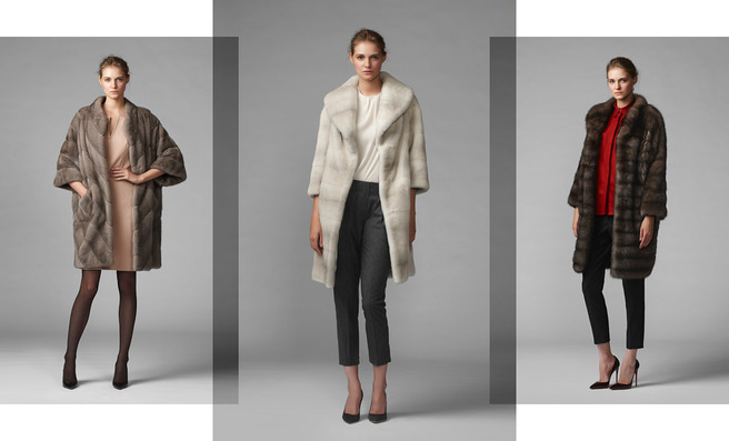 ���������� � �����������