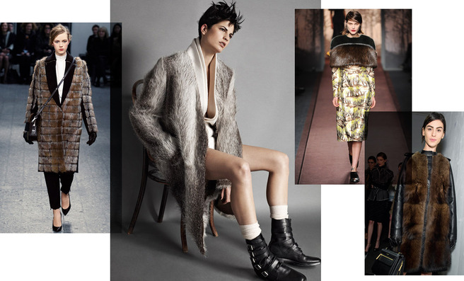 ��������� �����