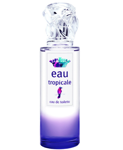 ��� ��������