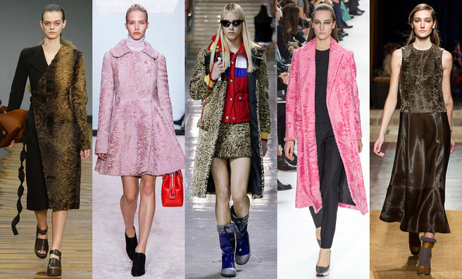 ׸���� �����